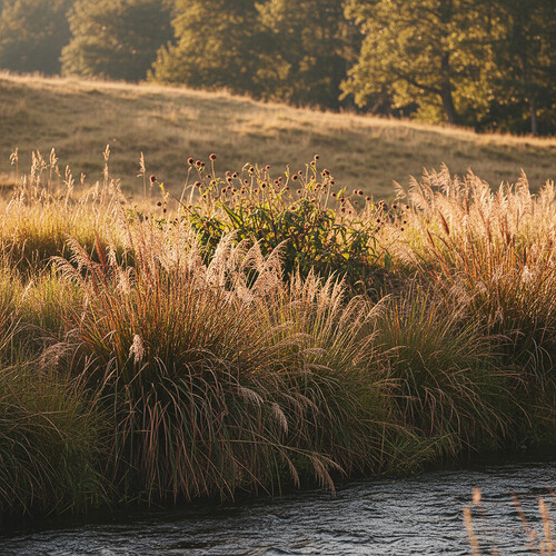 Close-up of varied hair strands showing thickness and color.